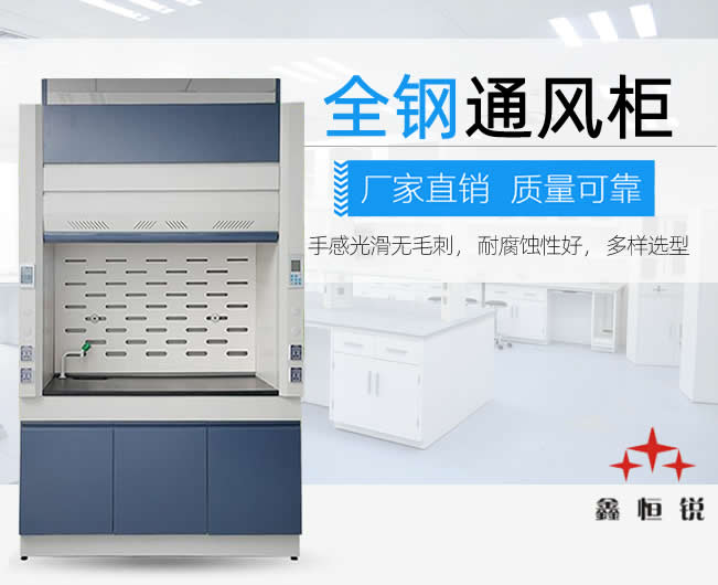 供应钢木结构通风柜 可选配水考克 气体考克等